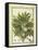 Breadfruit (Artocarpus Altilis), Watercolour by Delahaye, 1789-null-Framed Stretched Canvas