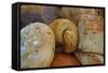 Breads at a Farmer's Market in Savannah, Georgia, USA-Joanne Wells-Framed Stretched Canvas