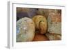 Breads at a Farmer's Market in Savannah, Georgia, USA-Joanne Wells-Framed Photographic Print