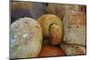 Breads at a Farmer's Market in Savannah, Georgia, USA-Joanne Wells-Mounted Photographic Print