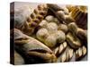 Breads Including Kugelhopfs, Pretzels and Plaited Bread, Alsace, France-John Miller-Stretched Canvas