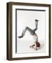 Break dancer-Erik Isakson-Framed Photographic Print