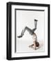 Break dancer-Erik Isakson-Framed Photographic Print