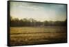 Break in the Trees-Jai Johnson-Framed Stretched Canvas