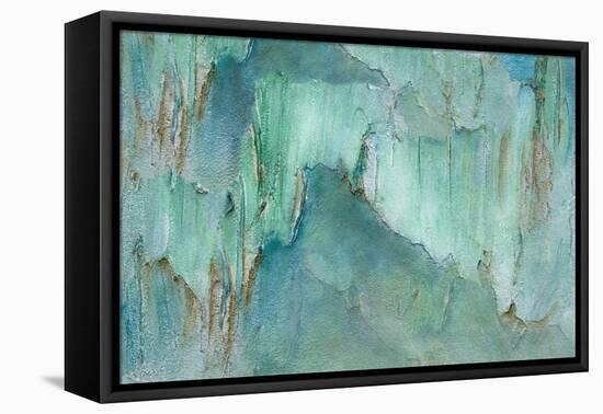 Break Through II-Sheila Finch-Framed Stretched Canvas