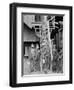 Breaker boys at Woodward Coal Mines, Pennsylvania, c.1900-Detroit Publishing Co.-Framed Photographic Print