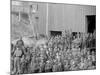 Breaker Boys, Woodward Coal Breakers, Kingston, Pa.-null-Mounted Photo