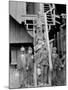 Breaker Boys, Woodward Coal Mines, Kingston, Pa.-null-Mounted Photo