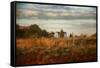 Breakfast at the Farm House-Jai Johnson-Framed Stretched Canvas