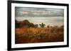 Breakfast at the Farm House-Jai Johnson-Framed Giclee Print