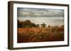 Breakfast at the Farm House-Jai Johnson-Framed Giclee Print