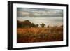 Breakfast at the Farm House-Jai Johnson-Framed Giclee Print