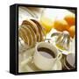 Breakfast, Coffee, Toast, Fresh Orange Juice-John Miller-Framed Stretched Canvas