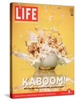 Breakfast Goes Kaboom! Reverse Diet, Dinner for Breakfast and Breakfast for Dinner, March 9, 2007-Adam Levey-Stretched Canvas