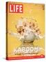 Breakfast Goes Kaboom! Reverse Diet, Dinner for Breakfast and Breakfast for Dinner, March 9, 2007-Adam Levey-Stretched Canvas