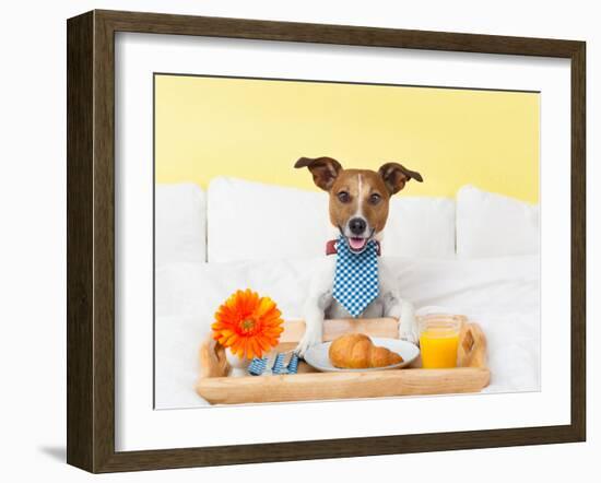 Breakfast in Bed-Javier Brosch-Framed Photographic Print