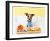 Breakfast in Bed-Javier Brosch-Framed Photographic Print