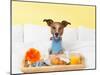 Breakfast in Bed-Javier Brosch-Mounted Photographic Print