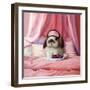 Breakfast In Bed-Lucia Heffernan-Framed Art Print