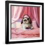 Breakfast In Bed-Lucia Heffernan-Framed Art Print