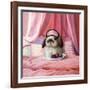 Breakfast In Bed-Lucia Heffernan-Framed Art Print