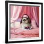 Breakfast In Bed-Lucia Heffernan-Framed Art Print