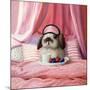 Breakfast In Bed-Lucia Heffernan-Mounted Art Print