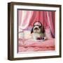 Breakfast In Bed-Lucia Heffernan-Framed Art Print