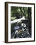 Breakfast in the Garden-null-Framed Photographic Print