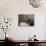 Breakfast Still Life-Willem Claesz Heda-Giclee Print displayed on a wall
