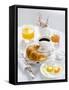 Breakfast with Coffee, Croissant, Fried Egg, Jam and Orange Juice-Ira Leoni-Framed Stretched Canvas