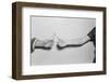 Breaking a Wishbone-Philip Gendreau-Framed Photographic Print