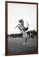 Breaking in a Pony-Mario de Biasi-Framed Giclee Print