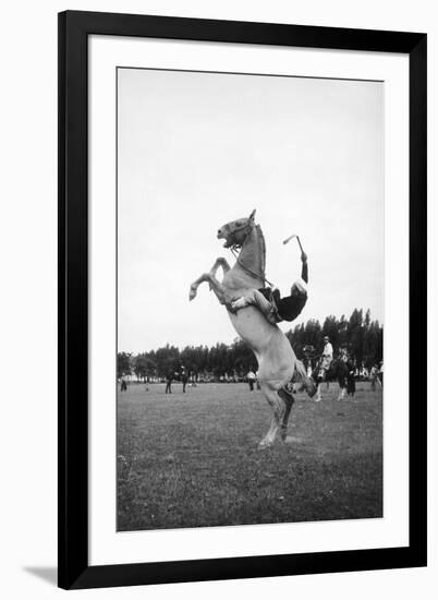 Breaking in a Pony-Mario de Biasi-Framed Giclee Print