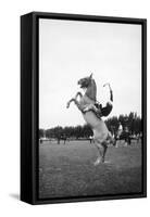 Breaking in a Pony-Mario de Biasi-Framed Stretched Canvas