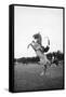 Breaking in a Pony-Mario de Biasi-Framed Stretched Canvas