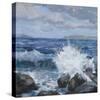 Breaking Shore-Julian Askins-Stretched Canvas