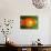 Breaking Tangerine-Alan Sailer-Photographic Print displayed on a wall
