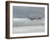 Breaking the Surf, Sri Lanka, 2015-Lincoln Seligman-Framed Giclee Print