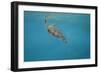 Breaking the Surface-Michael Jackson-Framed Premium Giclee Print