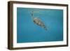 Breaking the Surface-Michael Jackson-Framed Giclee Print