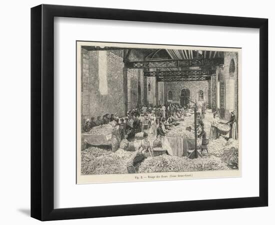 Breaking up Flowers in a Perfume Factory (Bruno- Court)At Grasse France-null-Framed Art Print