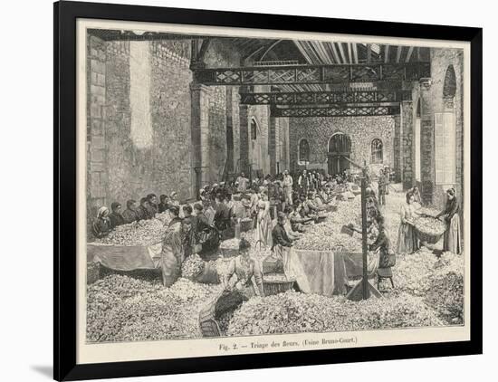 Breaking up Flowers in a Perfume Factory (Bruno- Court)At Grasse France-null-Framed Art Print