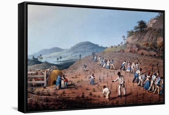 Breaking Up the Land, from 'ten Views in the Island of Antigua', 1823-William Clark-Framed Stretched Canvas
