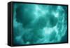 Breaking Wave Creating Turbulence in Water-Rick Doyle-Framed Stretched Canvas