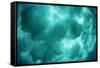 Breaking Wave Creating Turbulence in Water-Rick Doyle-Framed Stretched Canvas