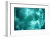 Breaking Wave Creating Turbulence in Water-Rick Doyle-Framed Photographic Print