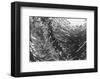 Breaking Waves-Margaret Juul-Framed Art Print