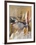 Breakthrough II-Ruth Palmer-Framed Art Print