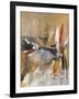 Breakthrough II-Ruth Palmer-Framed Art Print